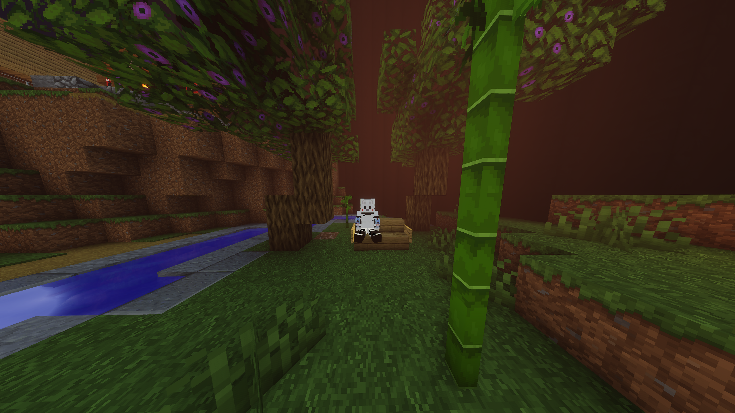image 52